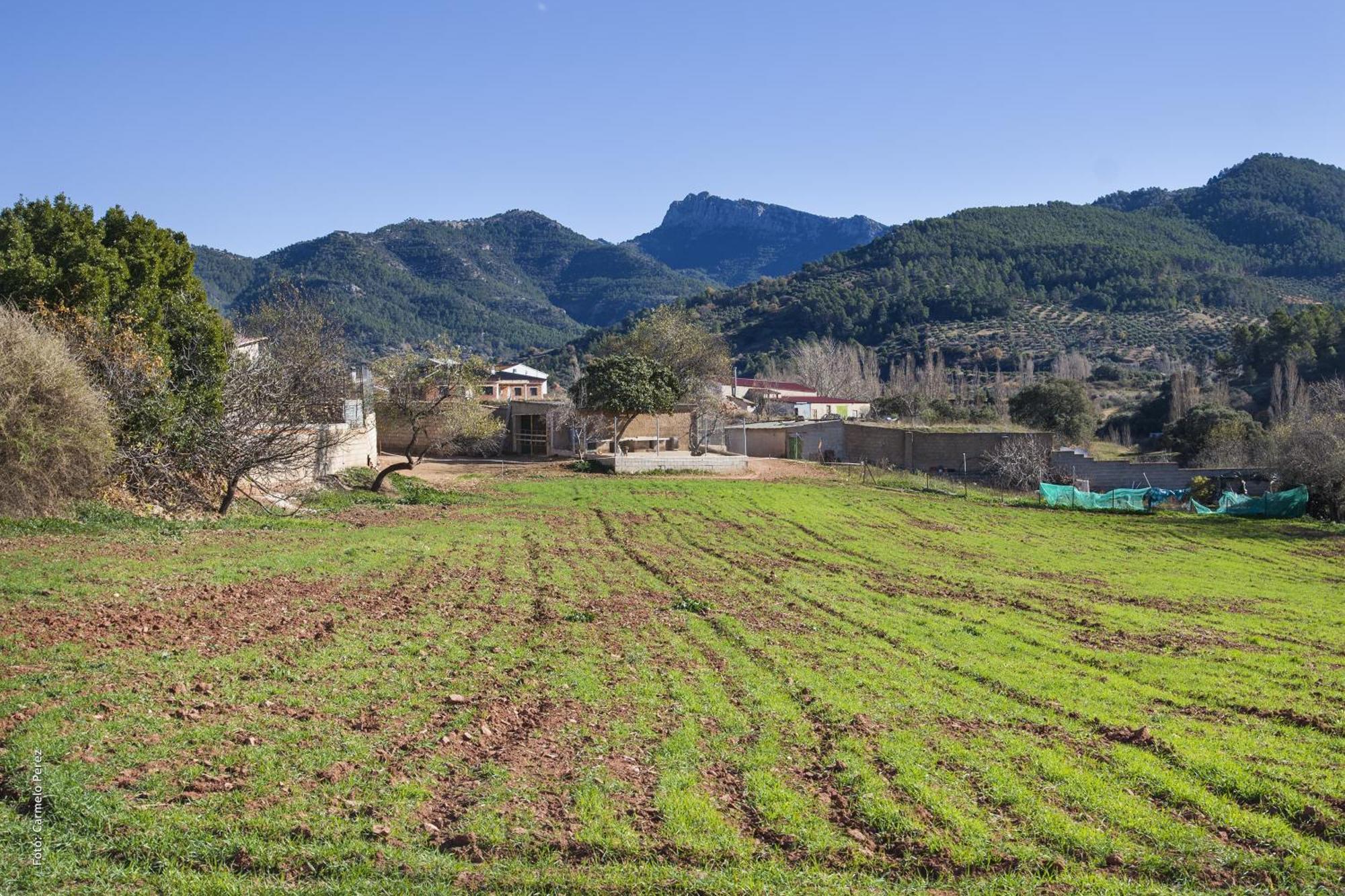 Casa Rural Chache Casto Bienservida エクステリア 写真